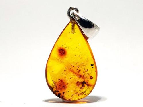 ZELDZAME Mosquito Fossiel in Goudgeel BALTISCHE AMBER –, Verzamelen, Dierenverzamelingen