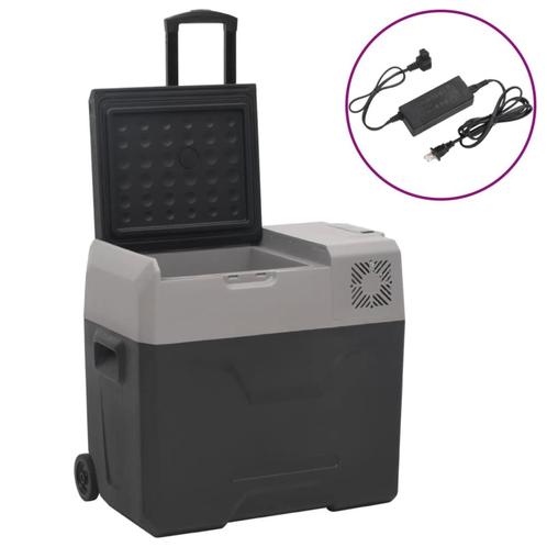 vidaXL Koelbox met wielen en adapter 40 L polypropeen zwart, Witgoed en Apparatuur, Koelkasten en IJskasten, Nieuw, Verzenden