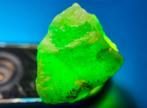 Onbehandelde natuurlijke smaragd - 8 ct Ruw- 1.6 g, Verzamelen, Mineralen en Fossielen