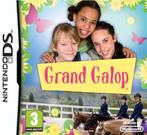 DS Grand Galop / The Saddle Club, Spelcomputers en Games, Games | Nintendo DS, Verzenden, Zo goed als nieuw