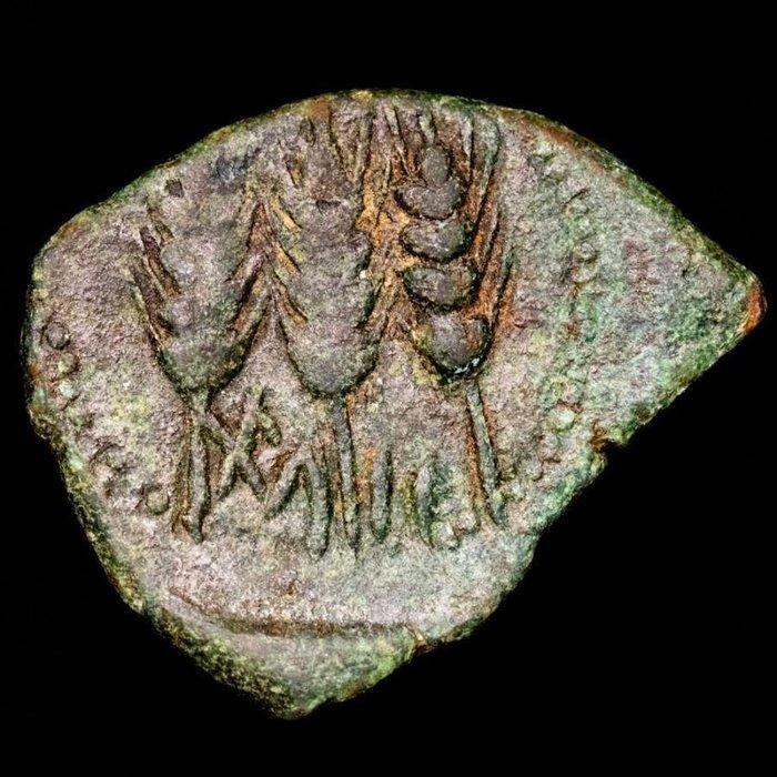 Het oude Noord-Afrika - Mauretanië Unit Sosus or Bocchus II, Postzegels en Munten, Munten | Europa | Niet-Euromunten