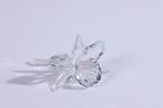 Figuur - Swarovski - Orchidee (Boxed + certificate) -