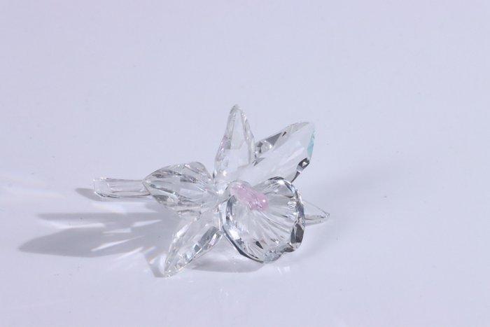 Figuur - Swarovski - Orchidee (Boxed + certificate) -, Antiek en Kunst, Curiosa en Brocante