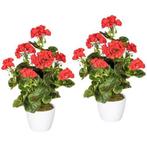 Creativ green Kunstplant Geranium, rood in een, Verzenden, Nieuw