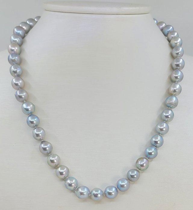 Halsketting 8,5x9mm zilverkleurige Akoya parels, Sieraden, Tassen en Uiterlijk, Kettingen