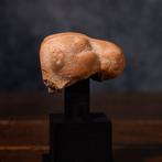 Oost-Romeins fragment kop van terracotta kamel - 4 cm
