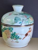 Doos - Prachtig porseleinen doos Qianjiangcai yuchun 1902 -