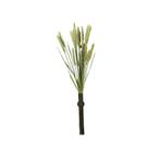 Tarwe aren – natuurlijke lekkernij voor vogels, kippen en, Verzenden, Nieuw