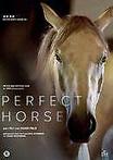 Perfect horse DVD