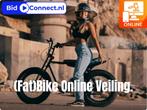 Div Fatbikes en Fietsen in de BidConnect veiling, Fietsen en Brommers, Nieuw, Overige merken