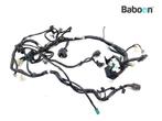 Kabelboom Yamaha XT 660 Z Tenere 2008-2011 (XT660Z), Motoren, Verzenden, Gebruikt