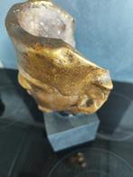 Hoofd van een figuur - Ramses - Hout, Gilded