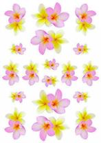 Fietsstickers met bloemen, vlinders, schildpadden en meer..., Nieuw
