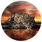 Behangcirkel Jaguar, Jaguar Muursticker, Panter, Tijger,, Huis en Inrichting, Behangcirkel, muurcirkel, roofdieren, Verzenden