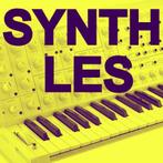 SYNTH LES:VERGROOT UW SYNTH KENNIS/VAARDIGHEDEN