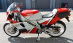 Yamaha - TZR 250 - 3MA - Sport Production - 250 cc - 1990, Motoren