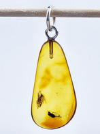 Buitengewone Baltische AMBER Hanger – Fossielvlieg – 40–50