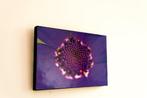 Isabella Tahmassian - Purple bloom - No reserve price, Antiek en Kunst