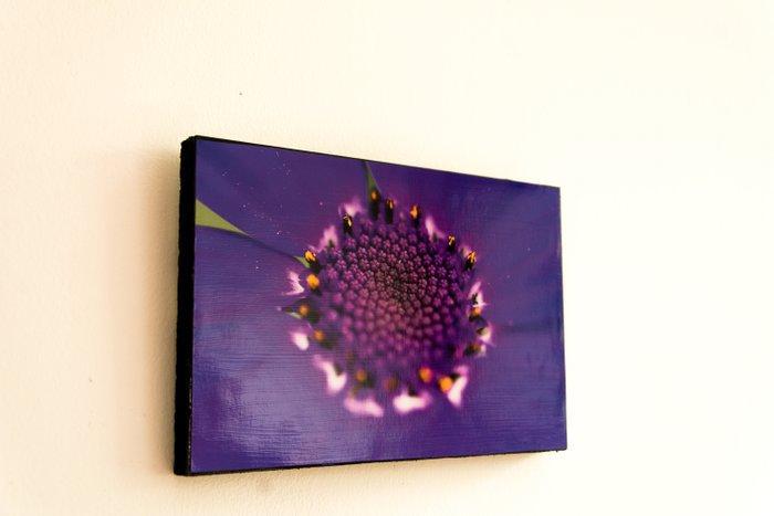 Isabella Tahmassian - Purple bloom - No reserve price, Antiek en Kunst, Kunst | Designobjecten