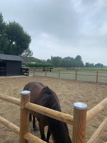 Paardenbak, Doorsteekomheining en Weidepalen :De Goedkoopste