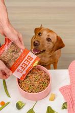 50% korting op VERS hondenvoer van Butternut Box, Dieren en Toebehoren, Verzenden, Hond