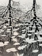 M.C. Escher (1898-1972) - Three Worlds - 1955
