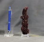 Fossiele dinosaurusexcrement - Gefossiliseerd dier -