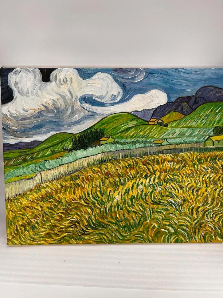 Landschap achter St. Paul Hospital naar Vincent van Gogh, Huis en Inrichting, Woonaccessoires | Schilderijen, Tekeningen en Foto's