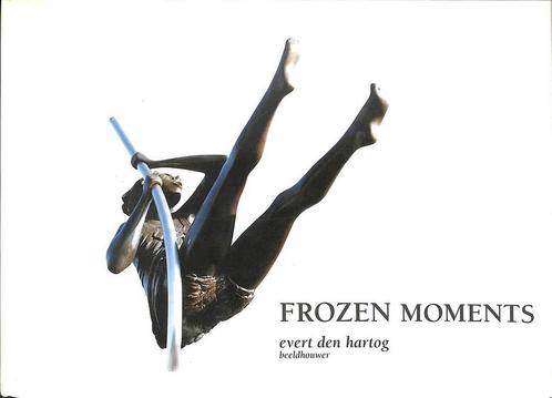 Frozen moments 9789080515314 J. Toering-Erenst, Boeken, Overige Boeken, Gelezen, Verzenden
