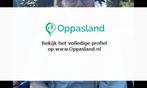 Ik ben Robin, 18 jaar oud en ik zoek oppaswerk in Giessen...