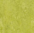 Forbo Marmoleum Authentic 3224 chartreuse, Nieuw