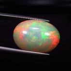 Opaal - 6.65 ct - nternational Colored Gemstone Association, Sieraden, Tassen en Uiterlijk, Edelstenen, Nieuw
