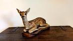 Klein hertje Bambi Taxidermie volledige montage - Cervus -, Verzamelen, Nieuw