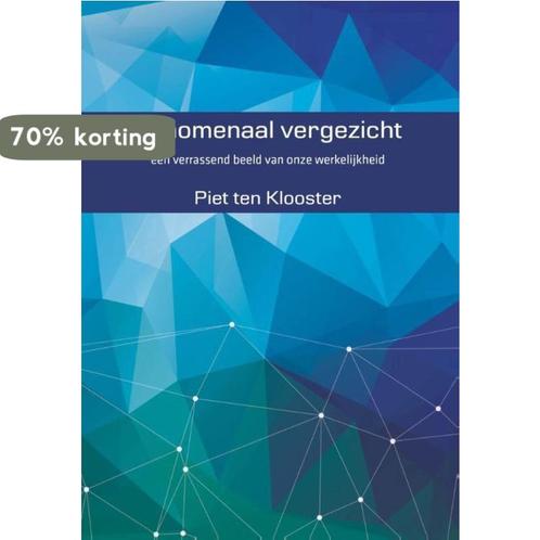 Fenomenaal vergezicht 9789492421012 Piet ten Klooster, Boeken, Filosofie, Gelezen, Verzenden