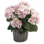 Kunstplant Hortensia roze in rieten mand 45 cm  - Kunst ho.., Huis en Inrichting, Ophalen of Verzenden