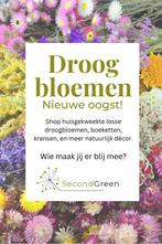 Nieuwe droogbloemen & boeketten bij Second Green, Ophalen of Verzenden, Nieuw