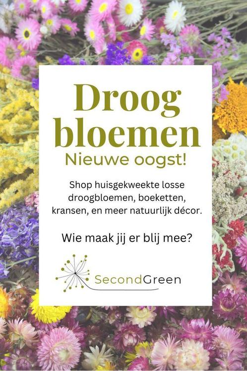 Nieuwe droogbloemen & boeketten bij Second Green, Huis en Inrichting, Woonaccessoires | Droogbloemen, Nieuw, Ophalen of Verzenden