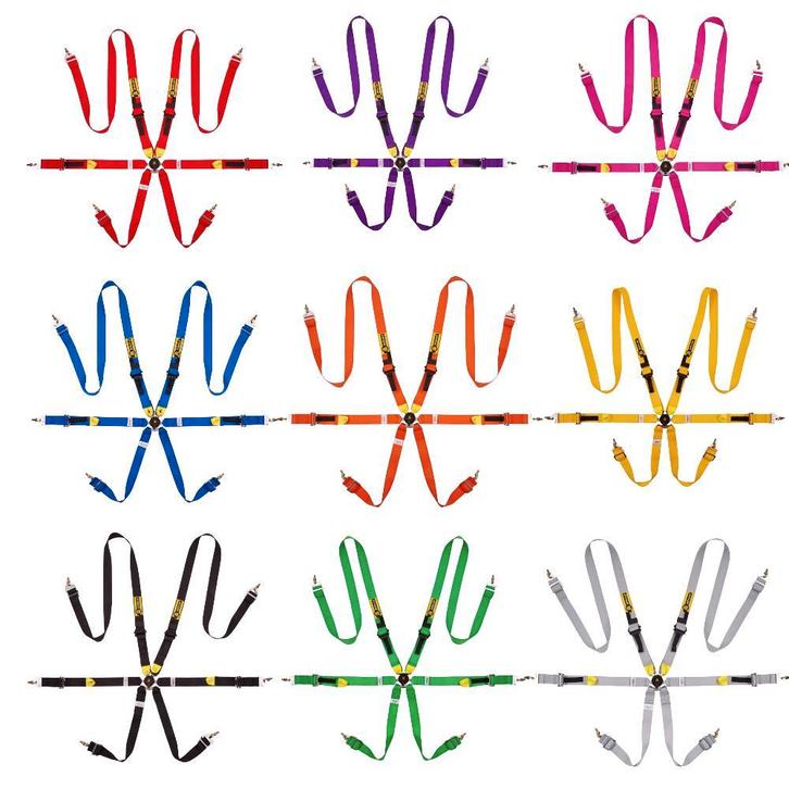 Race Gordels Autosport Gordels, Auto diversen, Raceauto's