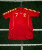 spagna - Voetbal Europees kampioenschap - villa david - 2008, Nieuw