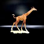 Goebel, Germany - Animals of Serengeti - Large Giraffe