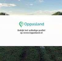 Sanne zoekt een oppas in Oss., Boeken, Schoolboeken, Nieuw