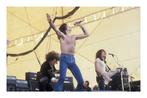F. Seltier - Angus Young, Bon Scott, Cliff Williams AC/DC