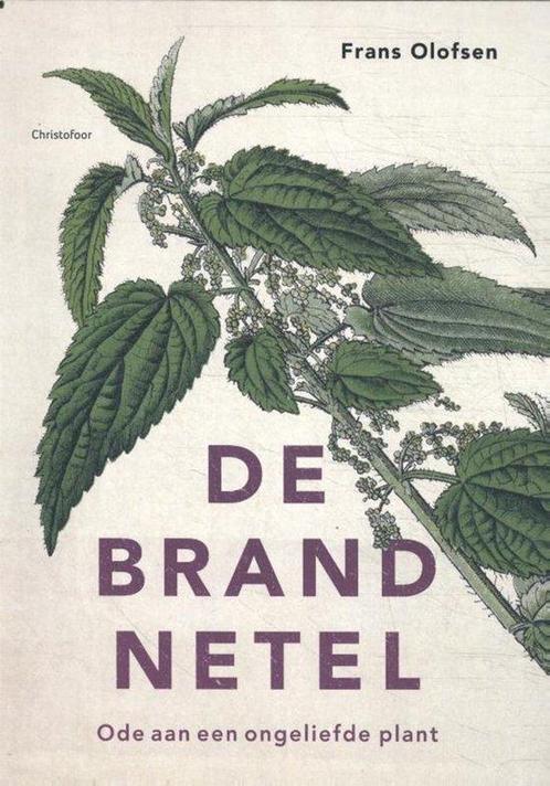 9789060389713 De brandnetel Frans Olofsen, Boeken, Studieboeken en Cursussen, Nieuw, Verzenden
