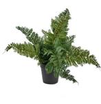 Kunstplant ‘Varen’ | 33cm, Ophalen, Nieuw