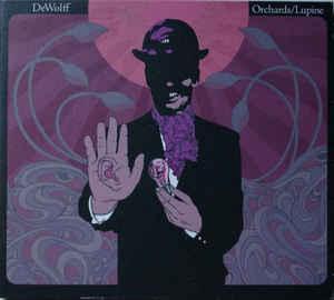 cd digi - Dewolff - Orchards/Lupine, Cd's en Dvd's, Cd's | Rock, Zo goed als nieuw, Verzenden