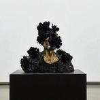 Bart Stillekens - Sea Bum, Antiek en Kunst