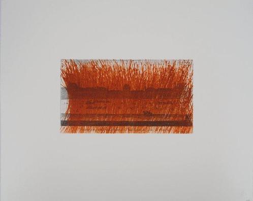 Arnulf Rainer (1929) - Louvre en orange, Antiek en Kunst, Antiek | Overige Antiek
