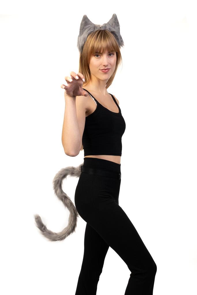 Haarband Furry Oren Staart Set Grijs Kat Poes Vos Diadeem Do, Kleding | Dames, Carnavalskleding en Feestkleding, Accessoires, Nieuw