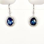 Oorbellen - 14 karaat Witgoud - 5.24ct. tw. Saffier -, Nieuw