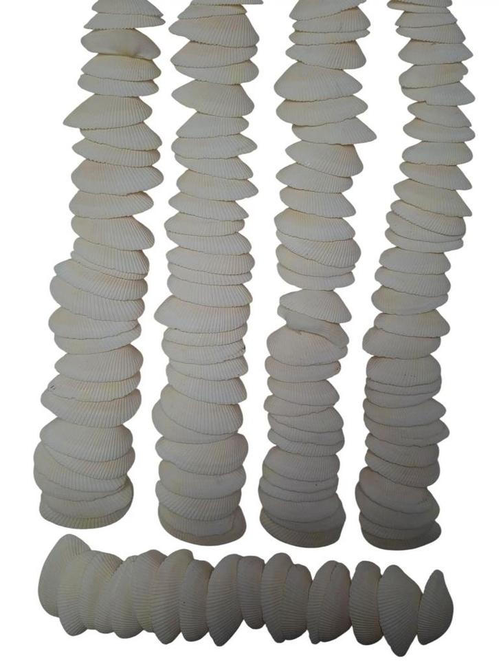 Dinh Ba Cockels Schelpen 3,5-4,5 cm 450 gram, Hobby en Vrije tijd, Knutselen, Nieuw, Ophalen of Verzenden